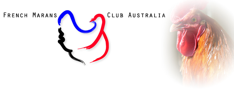 Club Marans d'Australie